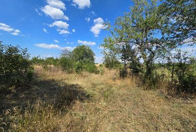 Casă cu 6 camere cu Teren 2000 Mp în Săvinești - 11