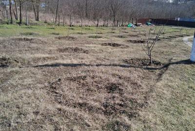 Spațiu comercial, în Muntenii de Jos - 3