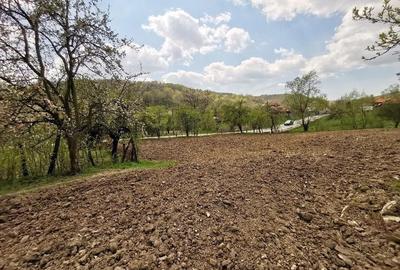 Casă cu 4 camere cu Teren 4212 Mp în Lupșa de Sus - 9