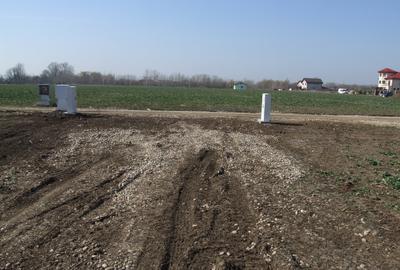 Domnesti-Ciocarliei, Afinului - 6