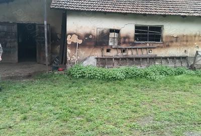 Hala de produc?ie - 2