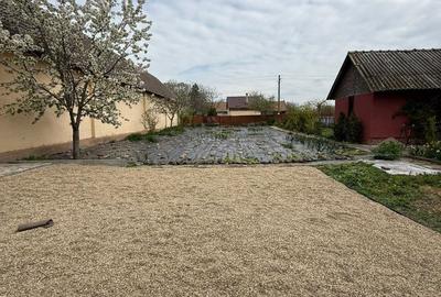 Spațiu comercial, în Orțișoara - 2