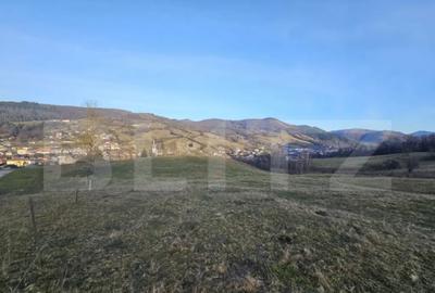 Teren de 16667 mp, în Abrud-Sat - 4