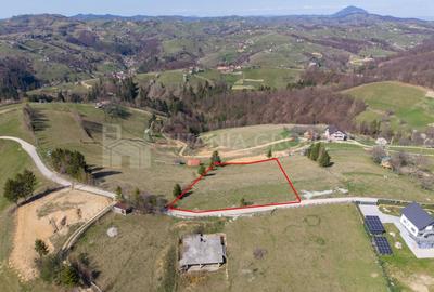 Teren Construcții intravilan de 3791 mp, în Poiana Mărului - 4