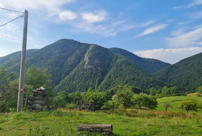Teren de 30000 mp, în Pleșcuța - 2
