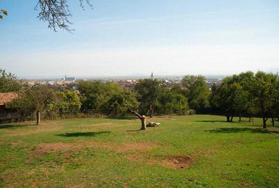 Teren Intravilan 3290 mp Codlea 3 Parcele - 7