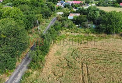 Teren Gruiu - 5000 mp - doua deschideri - intravilan - 2