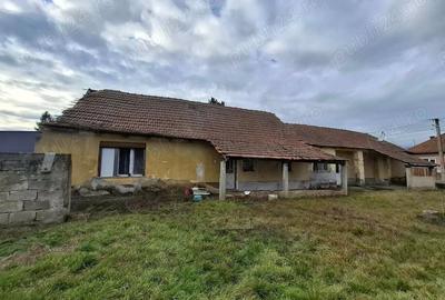 Casă cu Teren 1374 Mp în Borș - 3