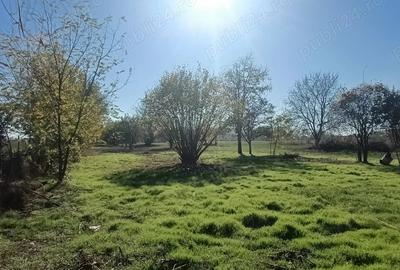 Oaza de liniste: Proprietate generoasa cu poten?ial de Investi?ie Locuin?a - 3