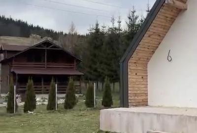 Casă cu 3 camere cu Canalizare în Valea Doftanei - 14