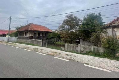 Teren de 6980 mp, în Dobrița - 3