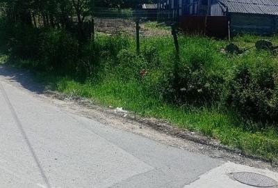 Casă cu 2 camere în Humulești - 1