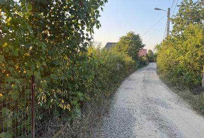 Vanzare Teren Intravilan Barnova 1027 mp - 6