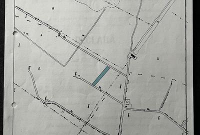 Teren de 10000 mp, în Oarja - 1