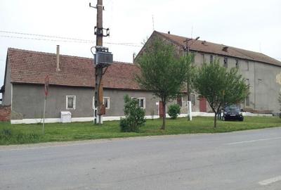 Spațiu comercial, de 1,100 mp, în Secusigiu - 4