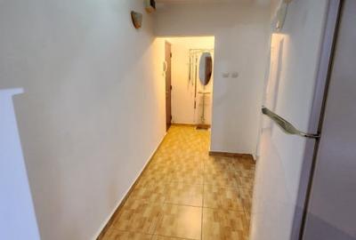 Apartament cu 2 camere decomandat, mobilat în Șagului - 8