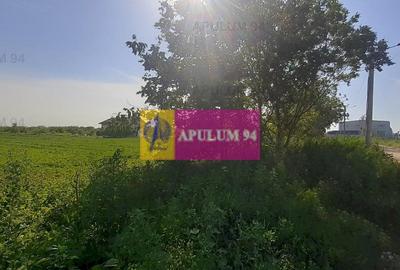 Teren Construcții intravilan de 5000 mp, în Copăceni - 8