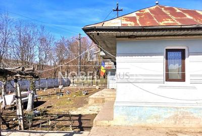 Casă cu 4 camere cu Teren 9528 Mp în Șișcani - 10