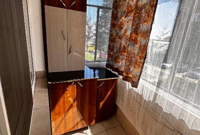 Apartament cu 2 camere semidecomandat în Gojdu - 9