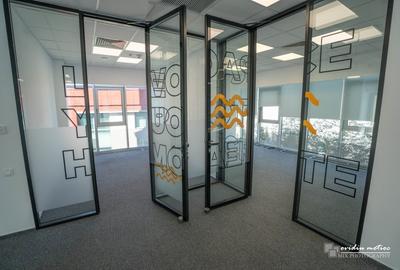 Birouri 216 mp Brancusi - 3