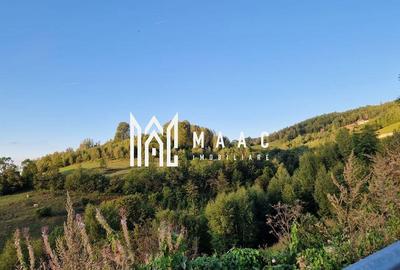 Teren de 117000 mp, în Râmeț - 11