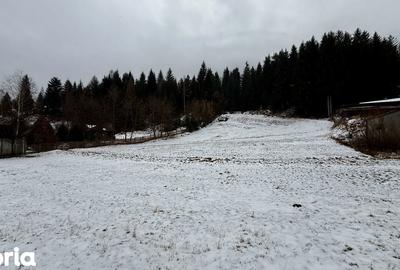 Teren de 2869 mp, în Fundu Moldovei - 8