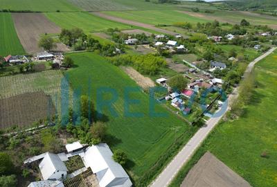 Teren de vanzare, Sat Valea Mare, Com. Ro?iori, Bacau - 4