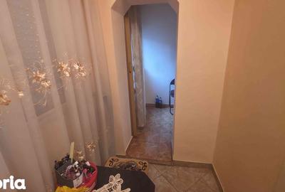 Garsonieră în Rogerius - 3