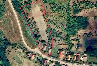 Teren Construcții intravilan de 4887 mp, în Dăbâca - 4