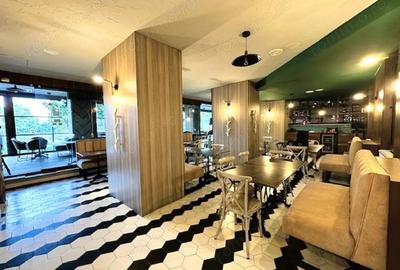 Inchiriem Spatiu Comercial ZONA ESPLANADA - 11