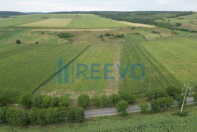 Teren de 4.400 mp Racova - 2