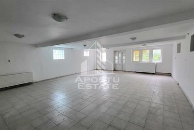 Casa ideala pentru birouri/alte activitati Mehala - 3