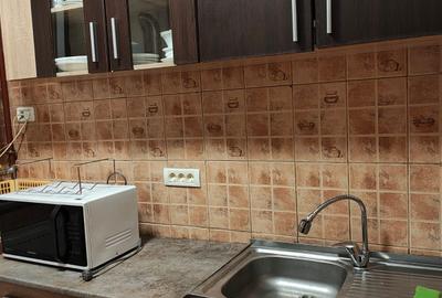 Apartament cu 2 camere decomandat în Țerova - 2