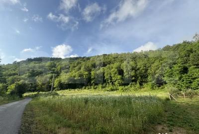 Teren de 4558 mp, în Central