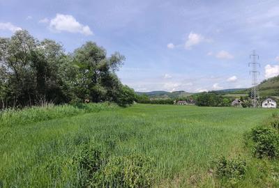 Teren de 1523 mp, în Vultureni - 5