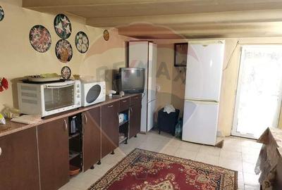 Casa traditionala De Vanzare cu 5 Hectare de teren - 12