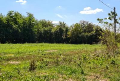 Casă cu 5 camere cu Teren 794 Mp în Livedea