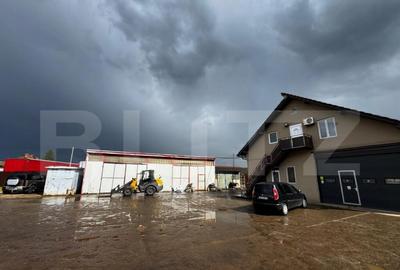 Cladire de birouri + 3 Hale, teren 4300 mp, Sebes - 10