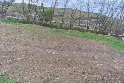 Casă cu Teren 10000 Mp în Căianu