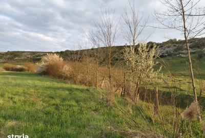 Teren de 8289 mp, în Mica - 8