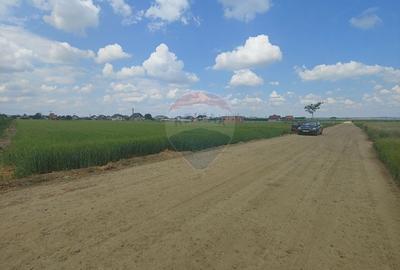 Teren intravilan 6,600mp Dumbraveni / Strada Principala spre Veresti - 8