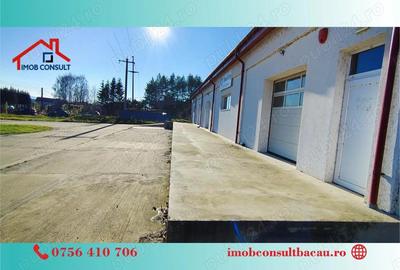 Spa?iu Industrial de Top Putere, Acces, Siguran?a! CE1422 - 9