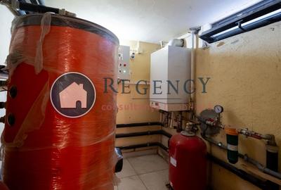 Proprietate versatila in zona Eminescu - Vasile Lascar - 46