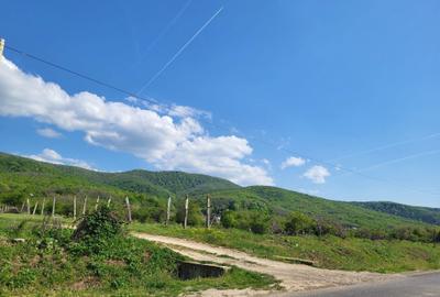 Spațiu comercial, în Cuvin - 4