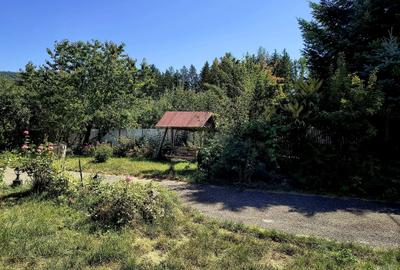 Casă individuală cu 4 camere cu Teren 1000 Mp în Brădet - 3