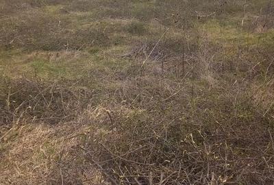 Teren de 7800 mp, în Tomești - 5