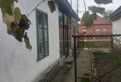 Casă cu 3 camere în Teremia Mare - 1