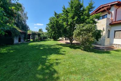 Chitila langa Lacul cu Nuferi si Padure Chitila langa Lacul cu Nuferi si Padure - 20