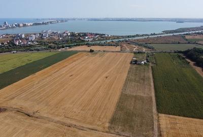 Teren extravilan 4,5 hectare cu deschidere de 108 m la DN226 - 1