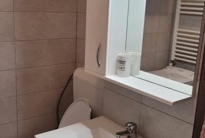 Apartament cu 2 camere decomandat, mobilat în Theodor Pallady - 10